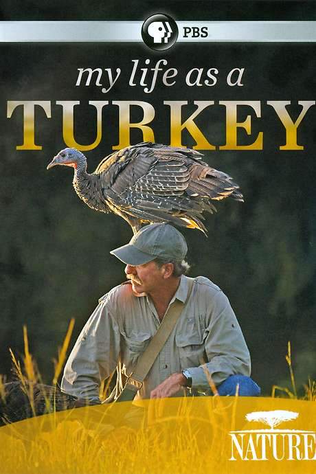 My Life as a Turkey